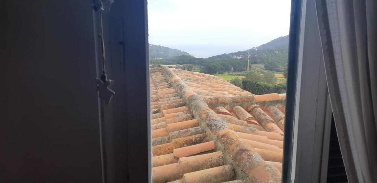 Estudio Vistas Al Mar Tamariu Y Bosques De Begur Eksteriør billede
