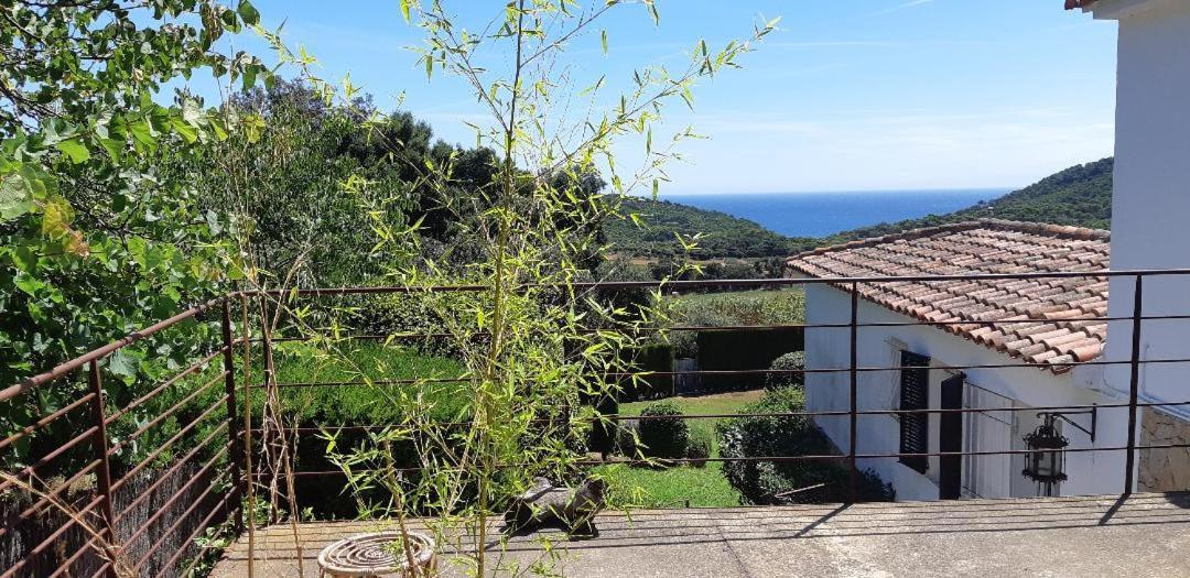 Estudio Vistas Al Mar Tamariu Y Bosques De Begur Eksteriør billede